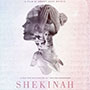 Shekinah at Limmud Chicago 2014