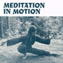 Meditation in Motion