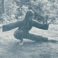 Meditation in motion